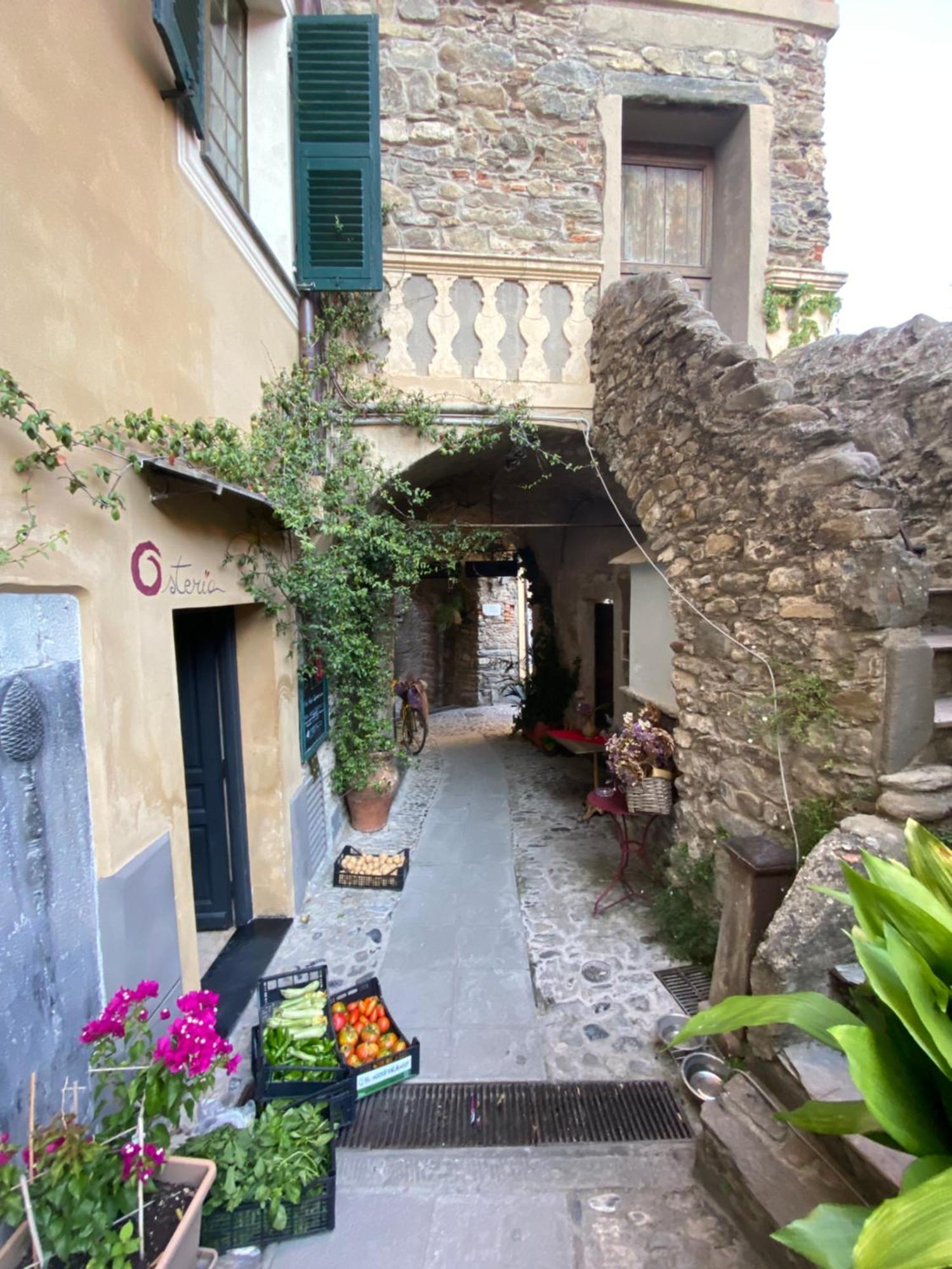 Iconic Italian Townhouse W Rooftop Terrace & Mountain View, Pigna Extérieur photo