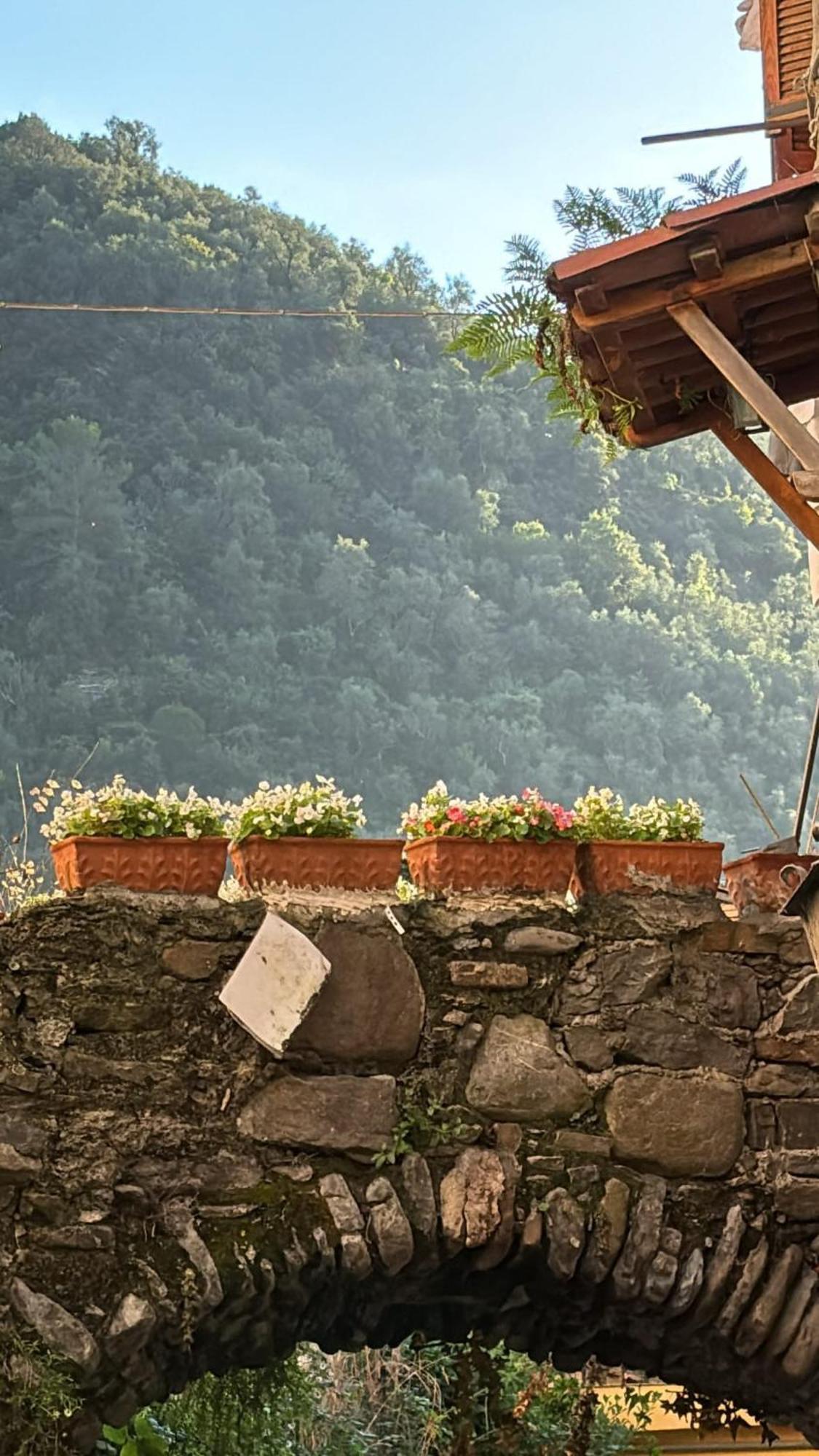 Iconic Italian Townhouse W Rooftop Terrace & Mountain View, Pigna Extérieur photo